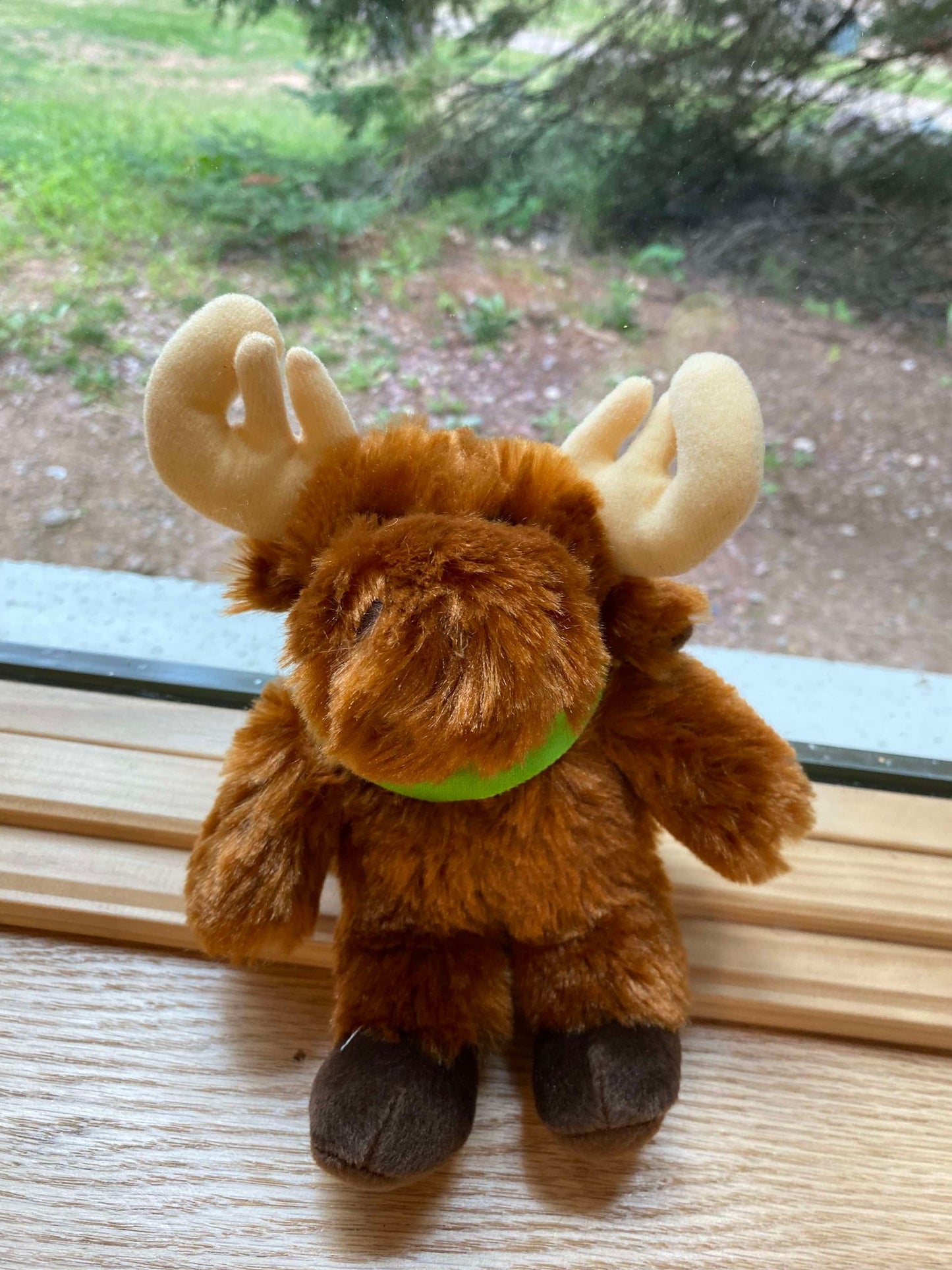 Stuffed Animals