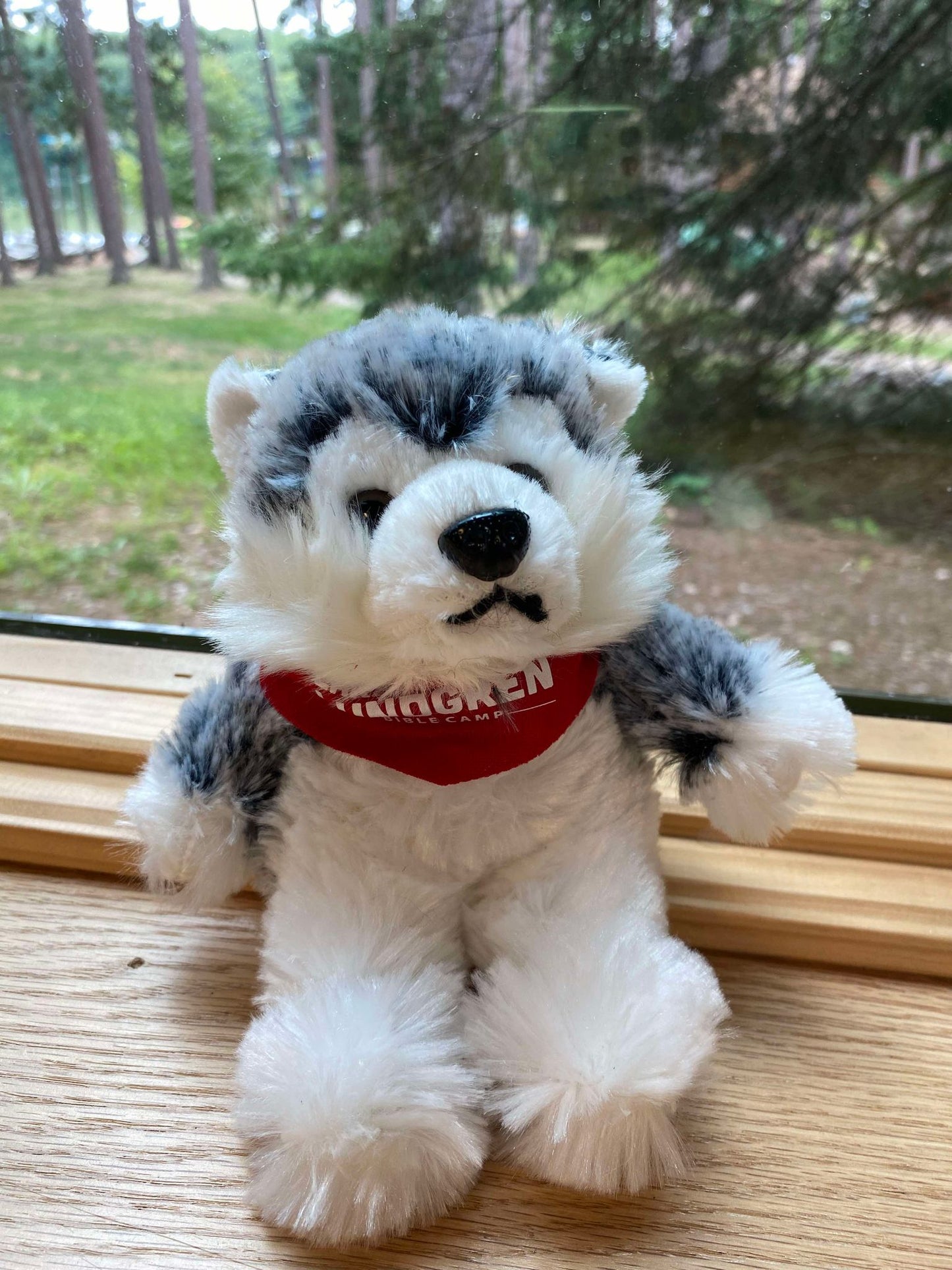 Stuffed Animals