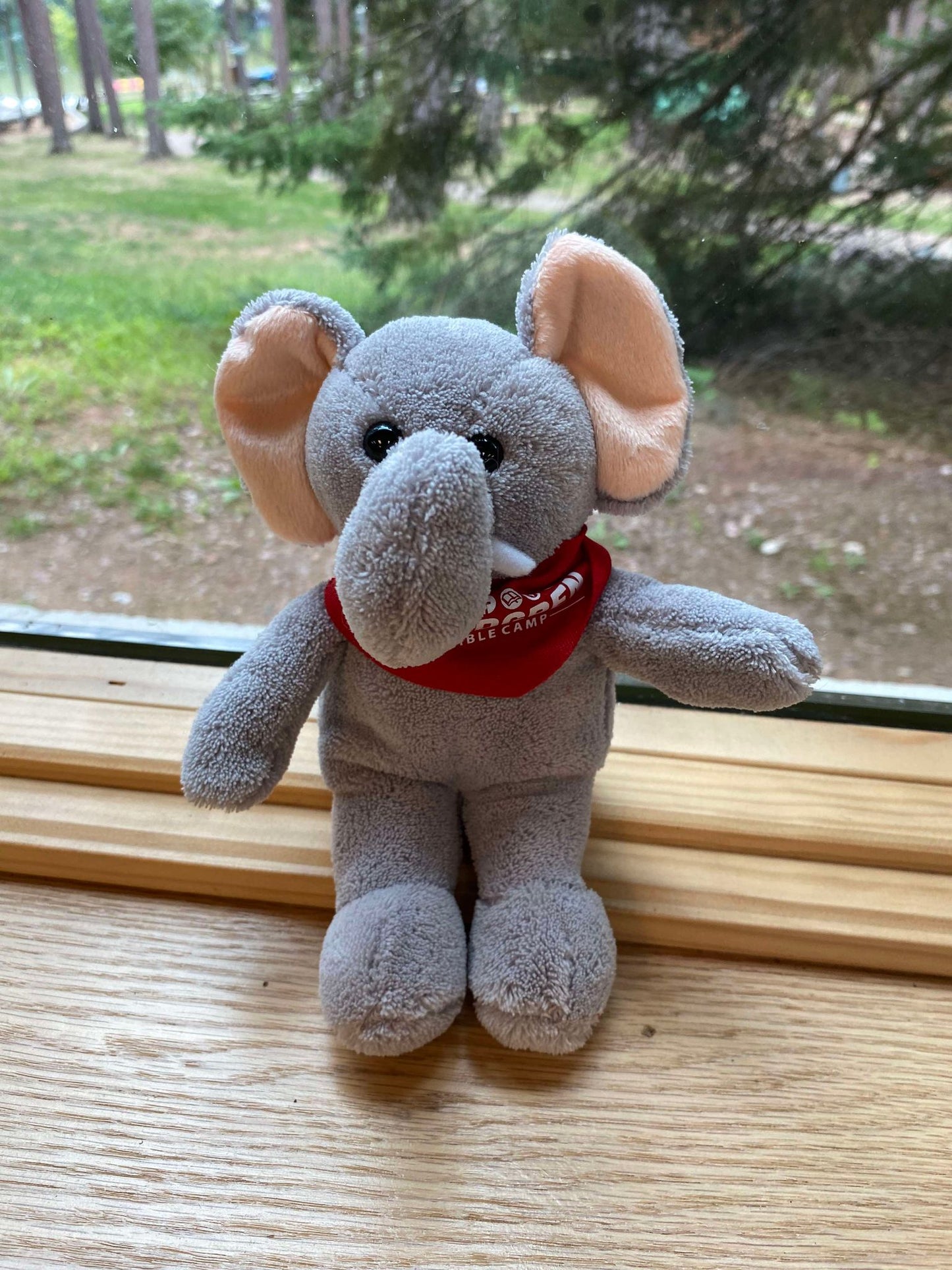Stuffed Animals